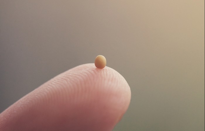 Mustard seed and fingertips.